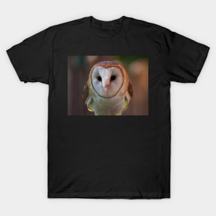 Barn Owl T-Shirt